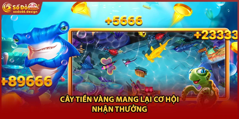 Cây tiền vàng mang lại cơ hội nhận thưởng