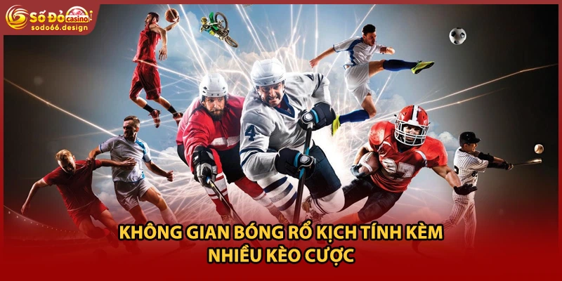 Không gian bóng rổ kịch tính kèm nhiều kèo cược