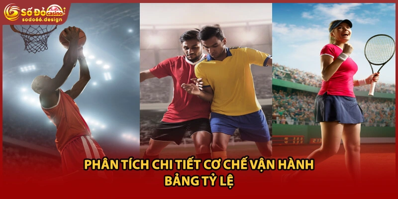 Phân tích chi tiết cơ chế vận hành bảng tỷ lệ